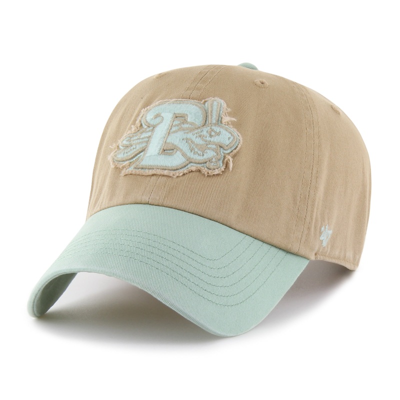’47 CANYON CLEAN UP CAP