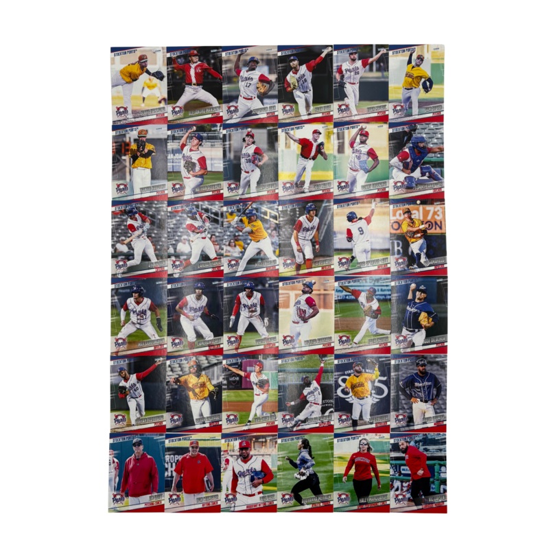 2025 Team Card Set