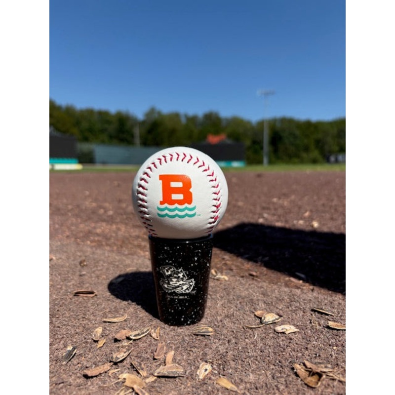 Chesapeake Baysox B with Waves Baseball