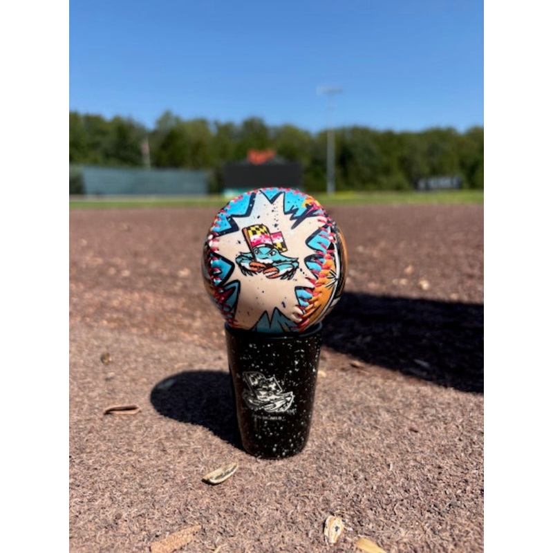 Chesapeake Baysox BASEBALL Comic