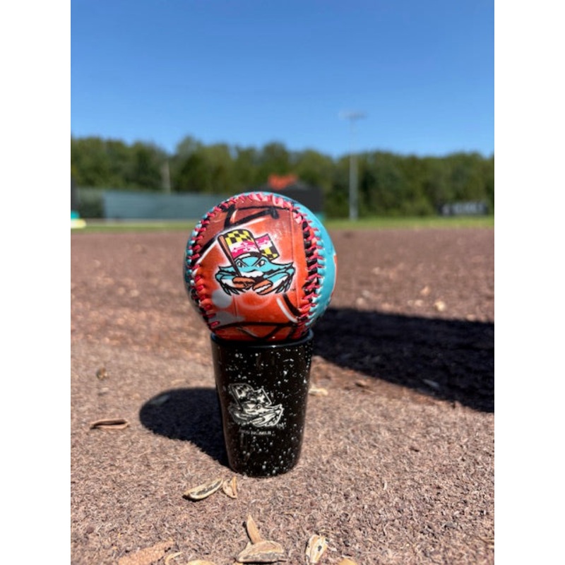 Chesapeake Baysox BASEBALL Graffiti