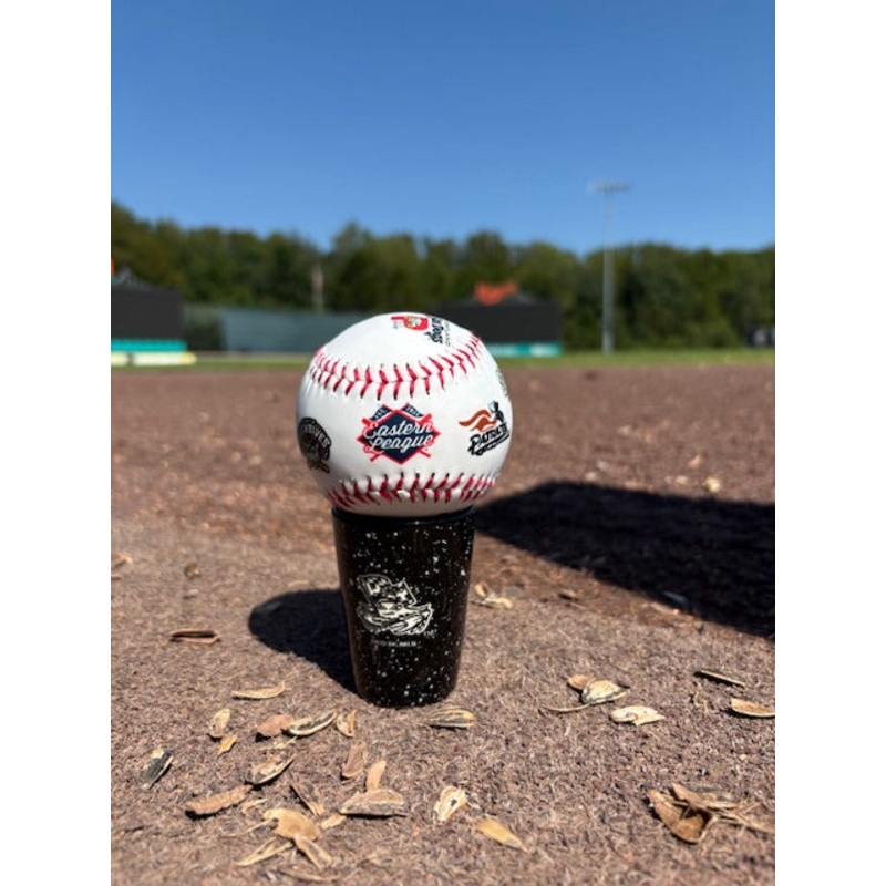 Chesapeake Baysox Eastern League Baseball
