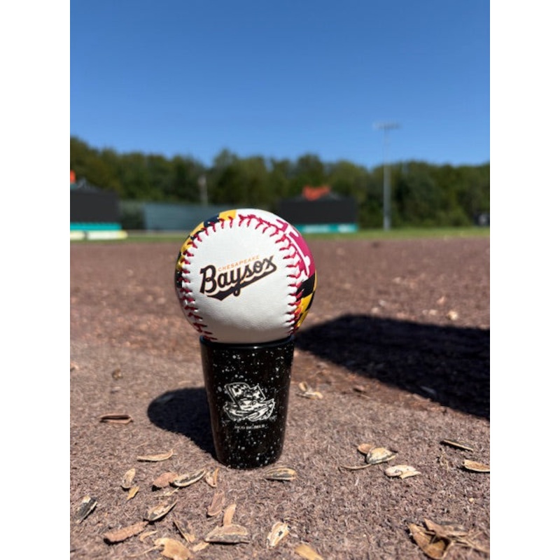 Chesapeake Baysox Maryland Flag Baseball