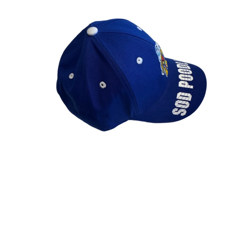 Amarillo Sod Poodles Royal Chalky Youth Cap