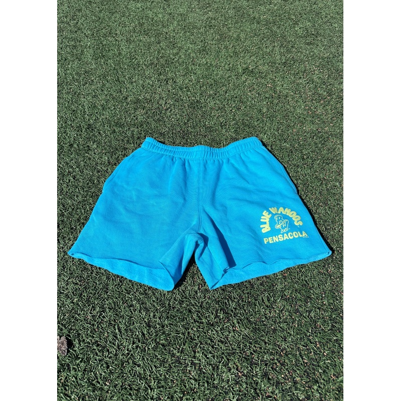 Pensacola Blue Wahoos ’47 Brighten Up Venice Mullets Shorts