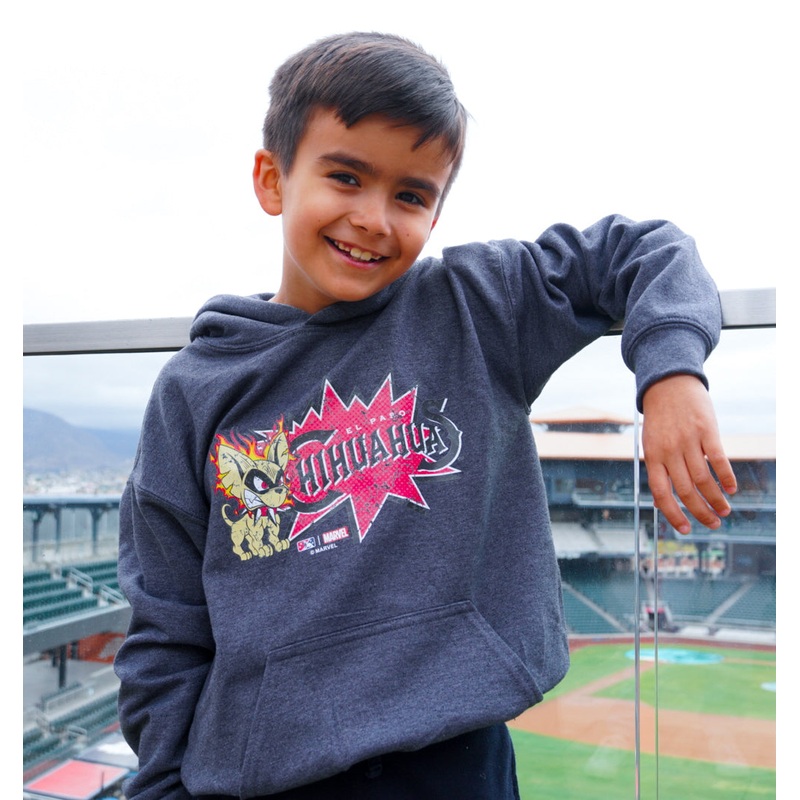 Chihuahuas Marvel’s Defenders of the Diamond Youth Heather Graphite Hoodie