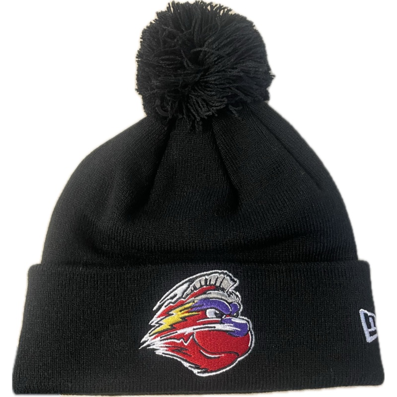 2024 Winston-Salem Dash Marvels Defenders of the Diamond Knit Beanie