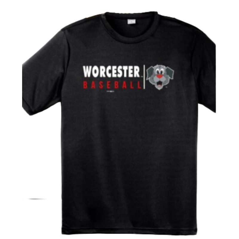 Worcester Red Sox Black Woofster Sideline Tee
