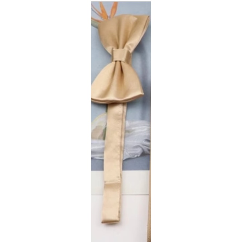 COSTUME RENTAL: Z276 Gold Bowtie
