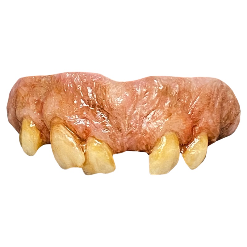 The Texas Chainsaw Massacre 2 – Leatherface Teeth