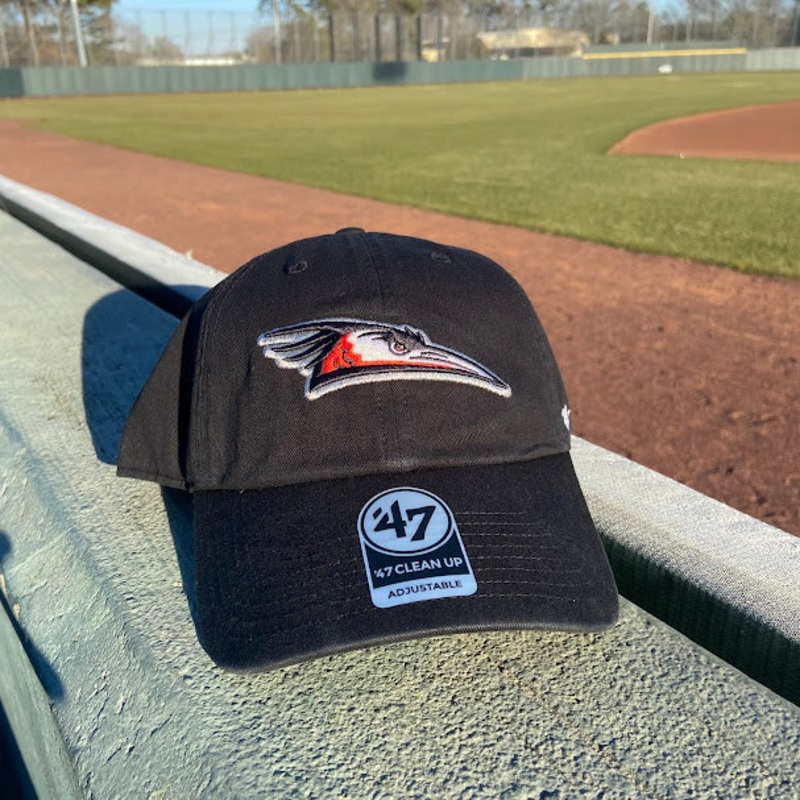 Delmarva Shorebirds ’47 Home Logo Black Clean Up