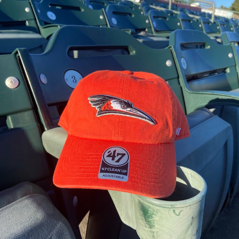 Delmarva Shorebirds ’47 Home Logo Orange Clean Up