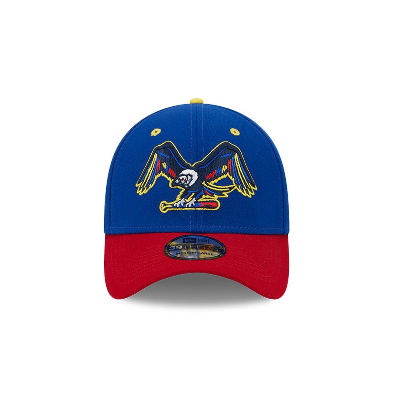 BRP Los Cndores de Binghamton Copa de la Diversin New Era 3930 FlexFit Cap