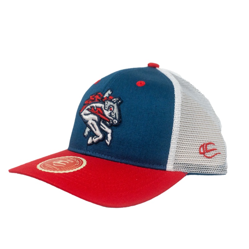 BRP New Arrival Youth Outdoor Caps Trucker Adjustable Tri-Tone Hat